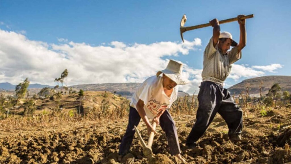 PRODUCCION DE ALIMENTOS