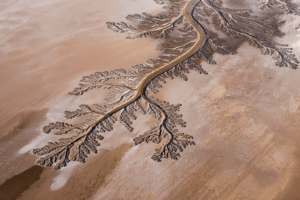 delta del Colorado