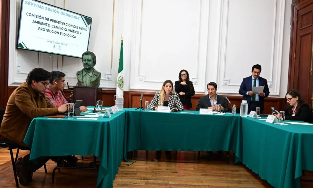 designa comision del congreso cdmx a monica alegre como titular de la paot a2e51c71 083e 4de8 b42f ca899d15b60c medialjnimgndimagefullsize