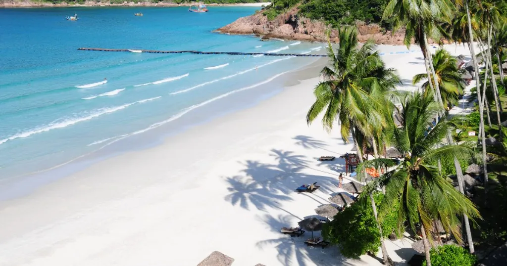 ¿Qué es un ecosistema resiliente? 10 ecosistema