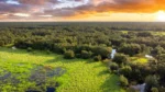 ecosistemas la ciencia