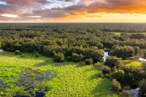 ecosistemas la ciencia