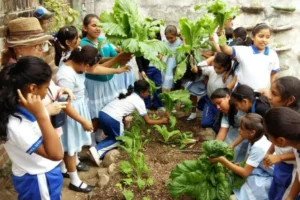 educacion ambiental 3