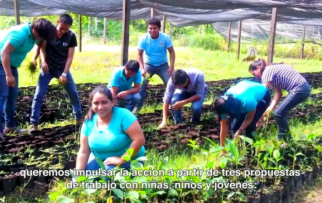 educacion ambiental 4