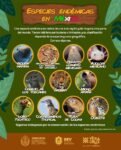 especies endemicas