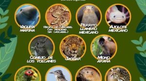 especies endemicas