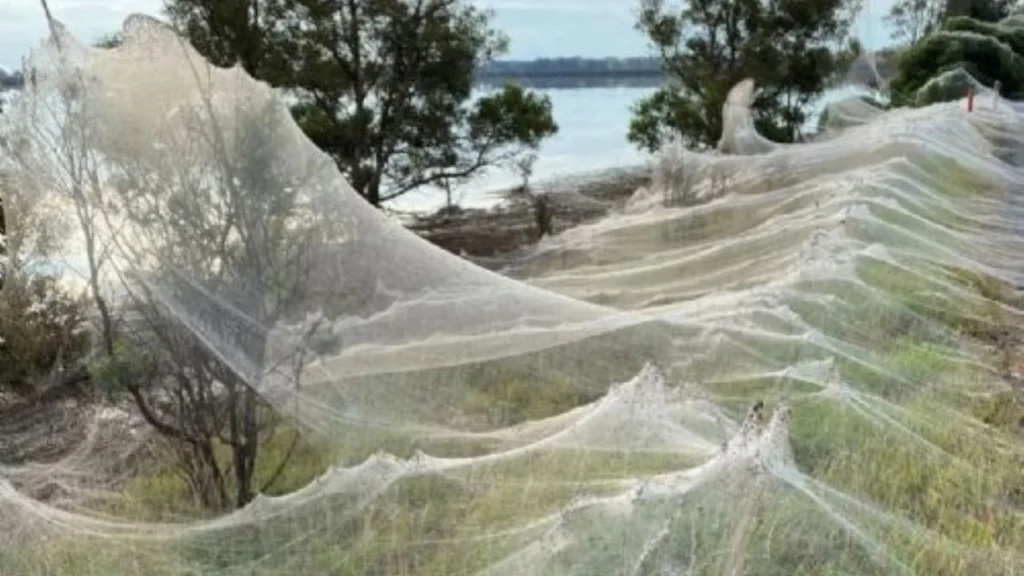 f1280x720 53563 185238 5050