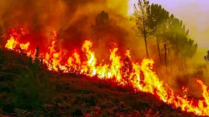 megaincendios
