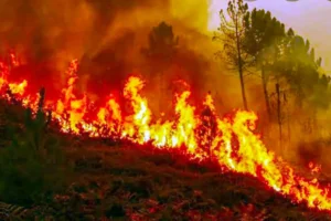 megaincendios