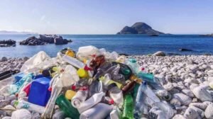 Del residuo al recurso