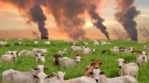 ganado y gases