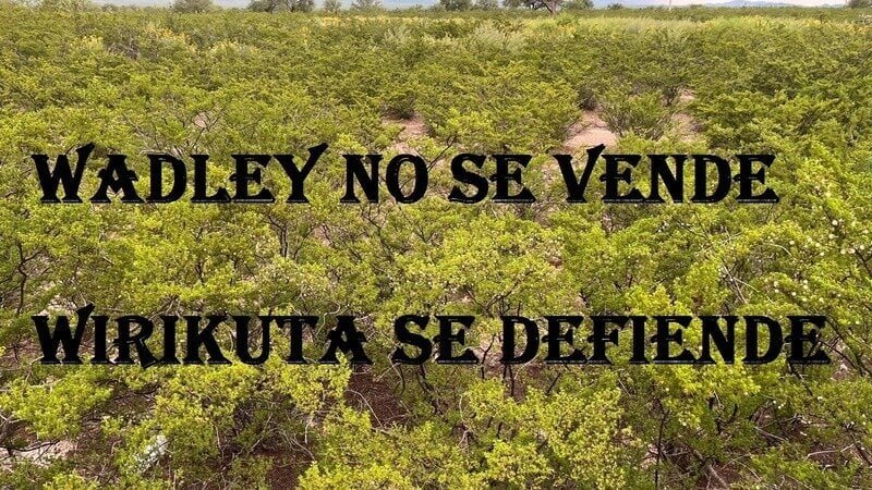 Comunidades de Wirikuta exigen freno a la sobreexplotación del acuífero en Estación Wadley 11 Wirikuta