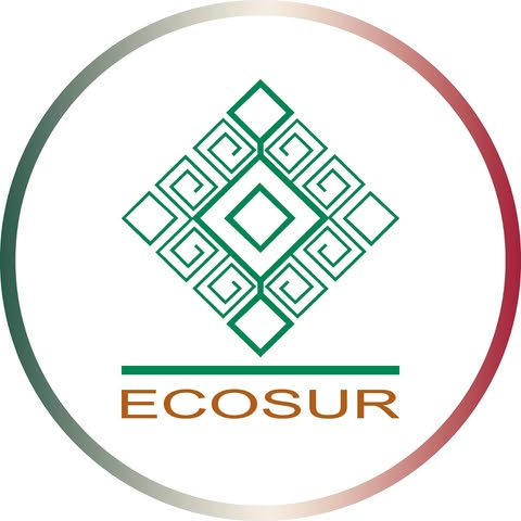 ECOSUR profundiza en la salud ambiental de la cuenca del Cahoacán con un proyecto integral de “Una Sola Salud” 11 image 139