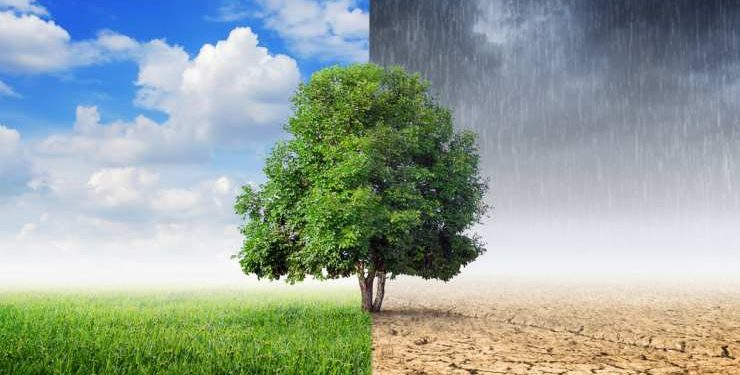 Imaginar el mañana: las nuevas narrativas para un futuro ambiental posible 11 image 150