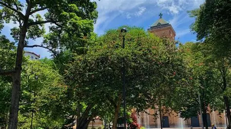 Carbonero Medellín: ‘muletas’ para aplazar su fin 12 image 177