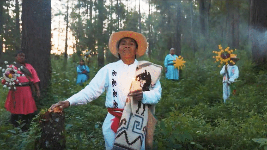 Guardianas de la tierra: mujeres indígenas que lideran el cambio 12 image 192