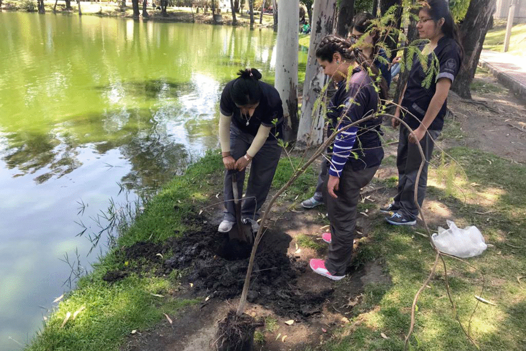 BUAP: Ciudad Universitaria se vuelve verde tras exitosa jornada de reforestación 12 image 20
