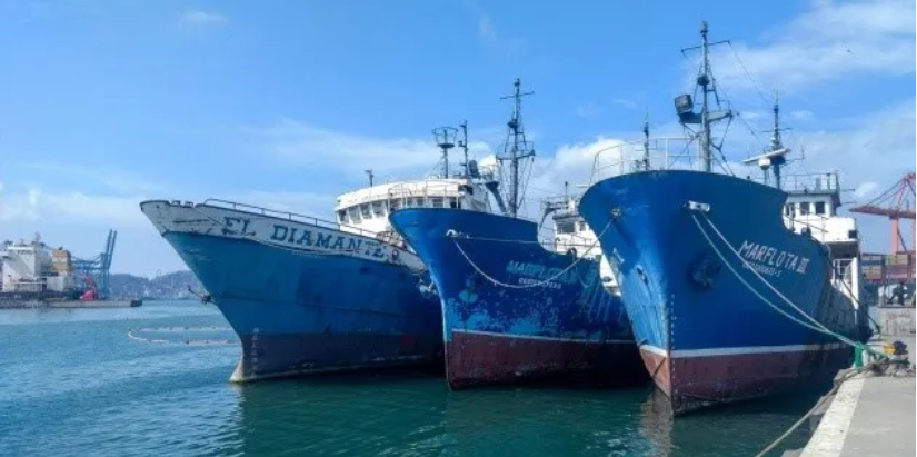 Semarnat frena ampliación del Puerto de Manzanillo por riesgos ambientales no evaluados 11 image 235