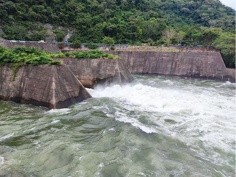 Defender el medio ambiente es defender la democracia: el legado de Litigio Estratégico Indígena A.C. 10 image 297
