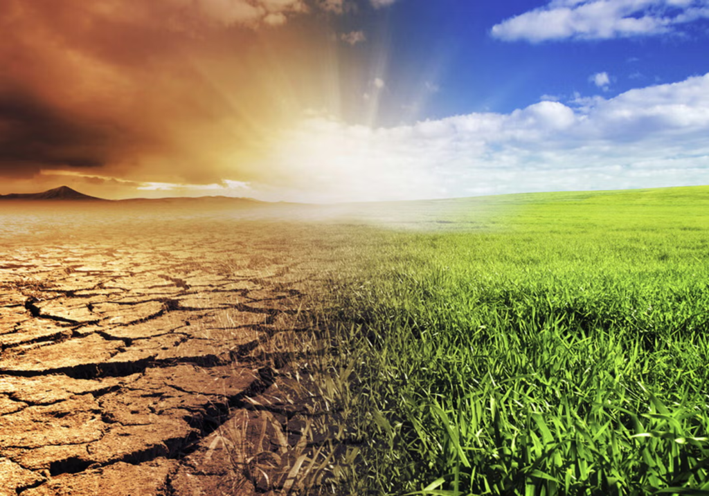 Bonos verdes financian proyectos ambientales a nivel global 11 image 331