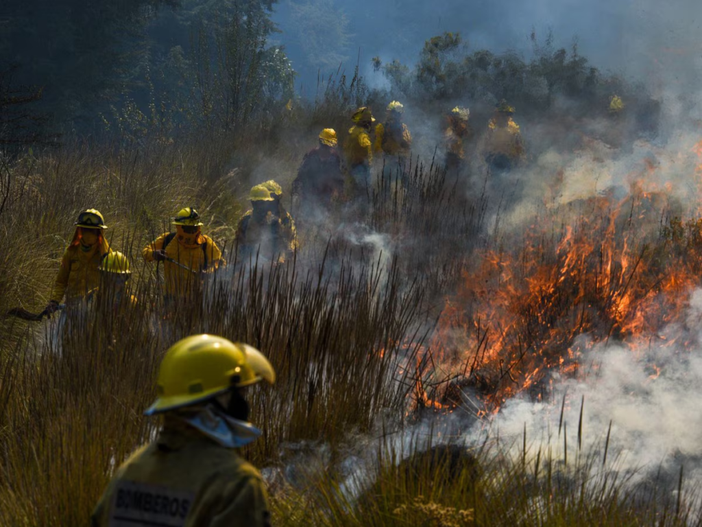 La temporada de incendios comenzó en Hidalgo debido a la sequía: ya son 29 10 image 363