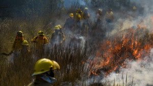 La temporada de incendios comenzó en Hidalgo debido a la sequía: ya son 29 