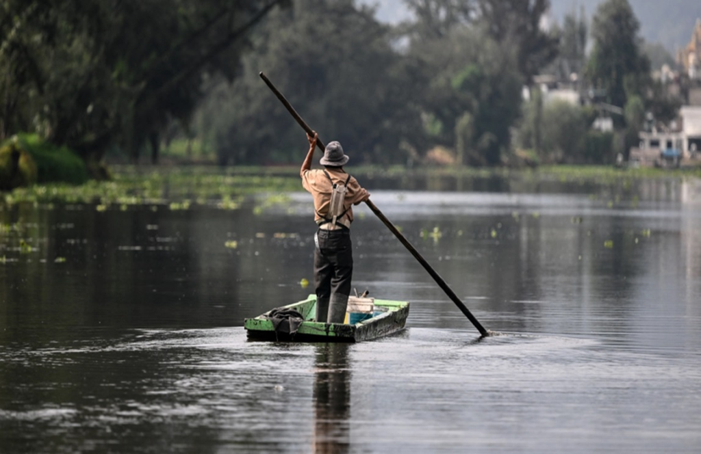 La sorprendente tecnología hecha con cabello que protege los canales 11 image 384