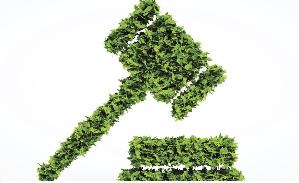 Se consolidan estrategias para el cuidado del entorno ambiental 11 image 421