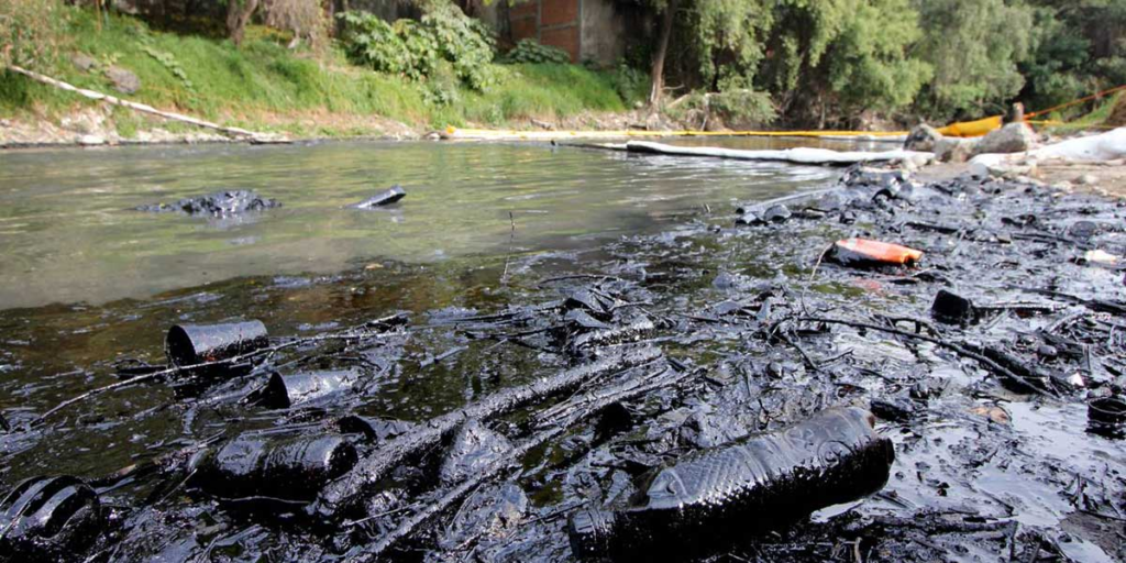 Gobierno impulsa rescate del río Atoyac y otras cuencas contaminadas en México 11 image 433