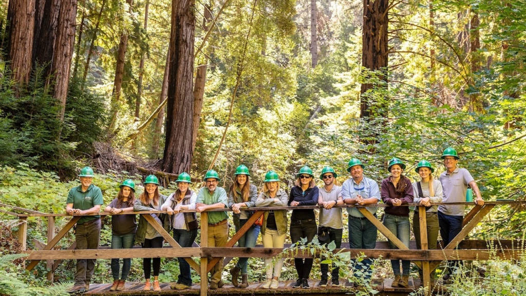 Incendios forestales en Bielorrusia se duplican y ponen en riesgo sus bosques 11 image 495