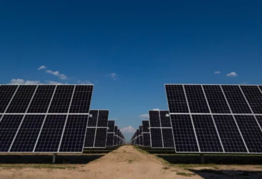 Semarnat evalúa el impacto ambiental del nuevo parque solar Los Girasoles 16 paneles solares