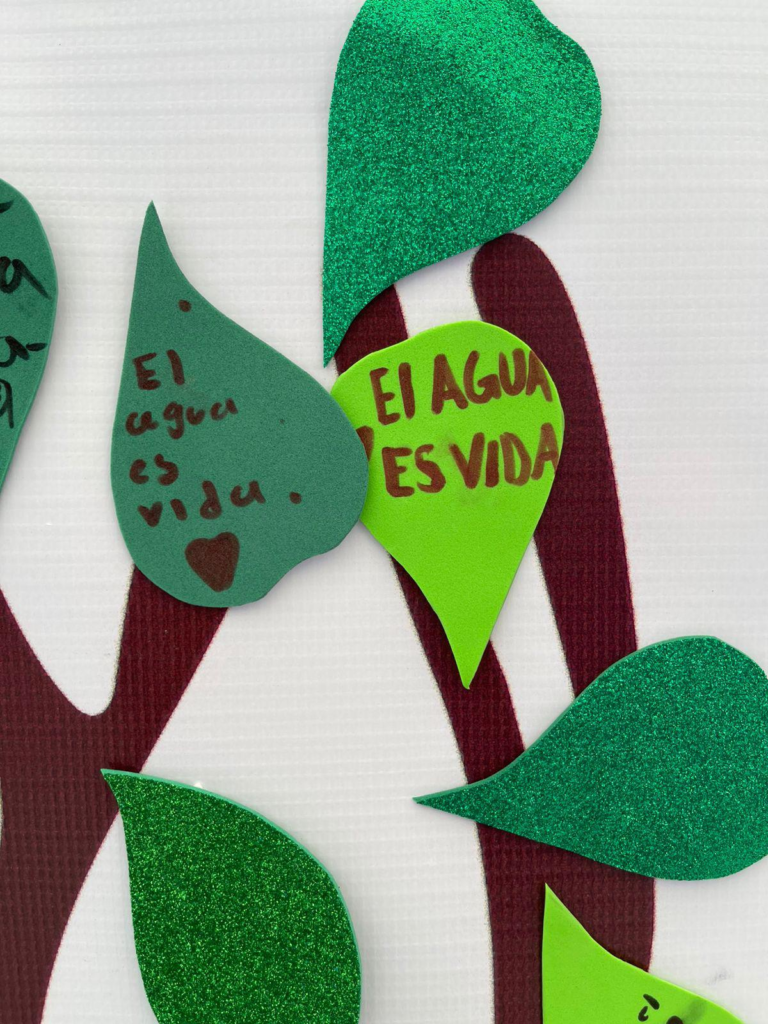 Culiacán impulsa nuevas generaciones responsables con el agua 12 image 574