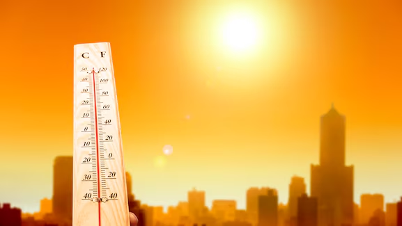 Ciudades al límite: el calor que redefine la vida urbana 12 image 596