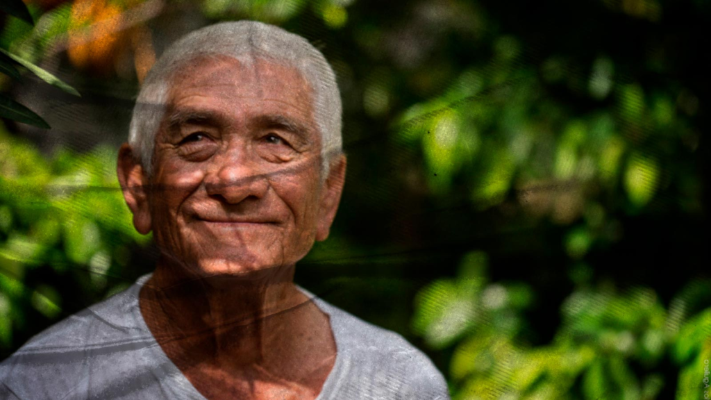 Voces bajo tierra: El silenciamiento forzado de la protesta verde 12 image 607