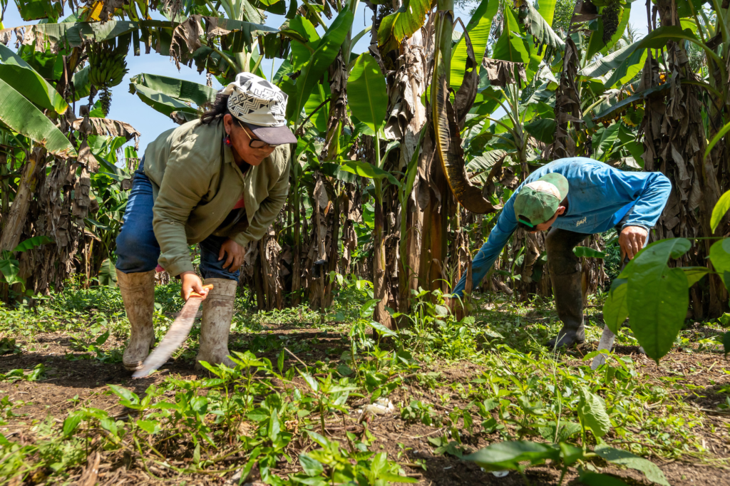 El increíble impacto de las mujeres defensoras del medio ambiente hasta 2026 12 image 609