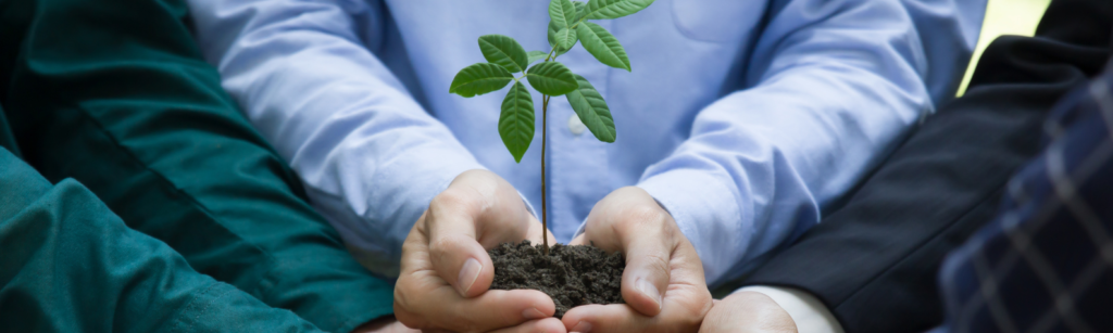 Patrocinio de fundaciones ambientales 11 image 610