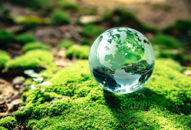 Lecciones globales: Política ambiental para un futuro sustentable 14 Política ambiental