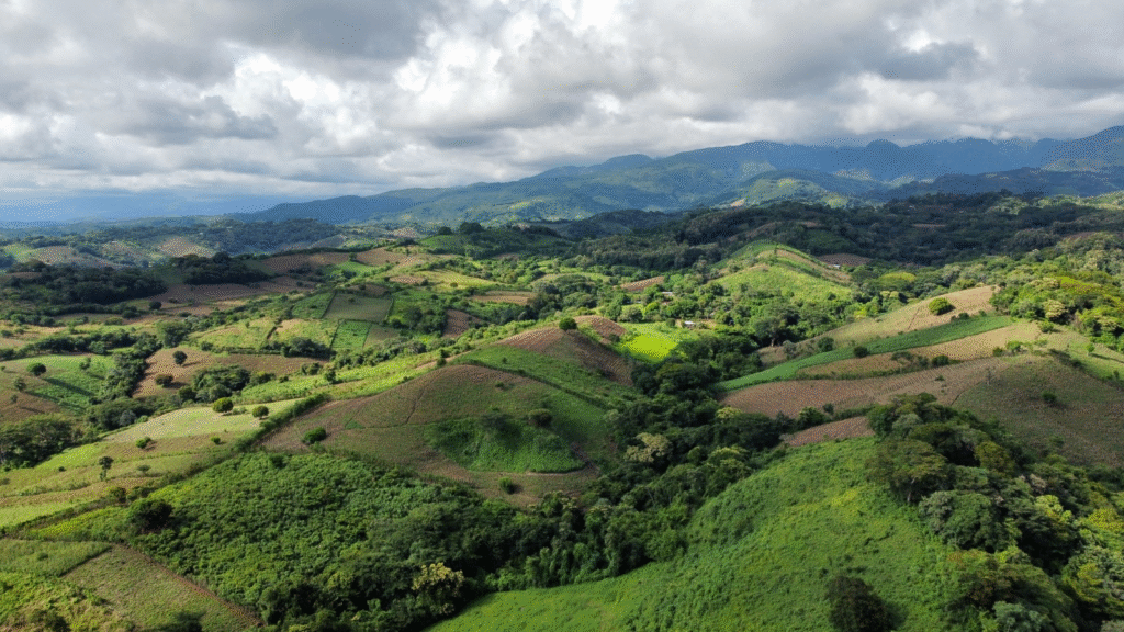 La iniciativa de la UICN y KfW enfocada en fortalecer la restauración forestal en América Latina 11 image 66