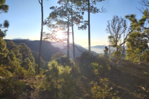 certificaciones verdes