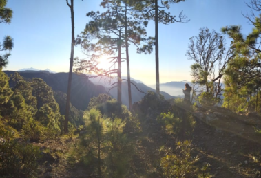 certificaciones verdes