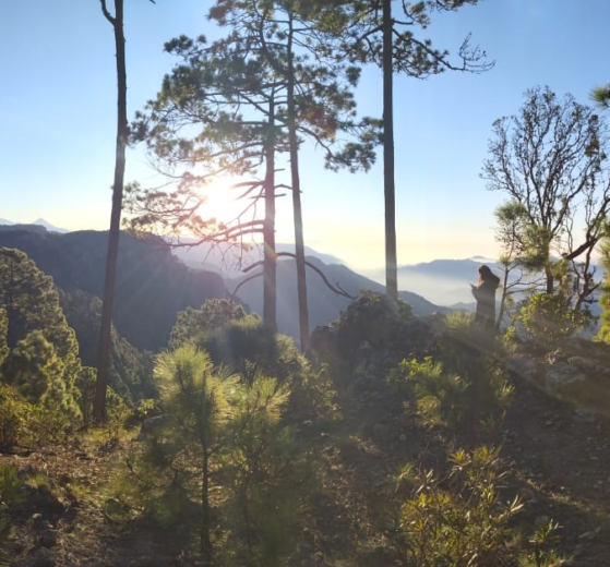 certificaciones verdes