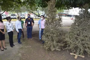 reciclaton