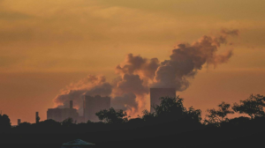 contaminación