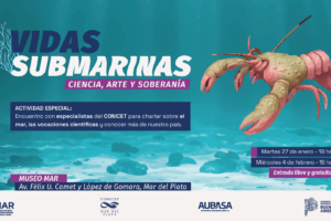 El laboratorio de los sueños marinos llega a las infancias platenses