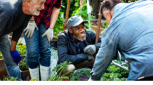 eco negocios