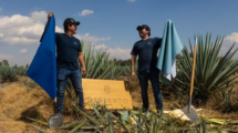 emprendimientos mexicanos