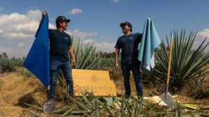 emprendimientos mexicanos