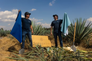 emprendimientos mexicanos