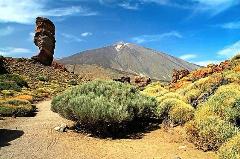 Tenerife apuesta por la conservación: aplicará un ecoimpuesto en el Parque Nacional del Teide 11 image 81
