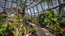 Jardín Botánico